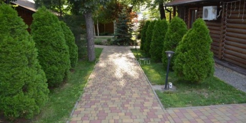 Jak používat tui v krajinářském designu oblasti země - nuance